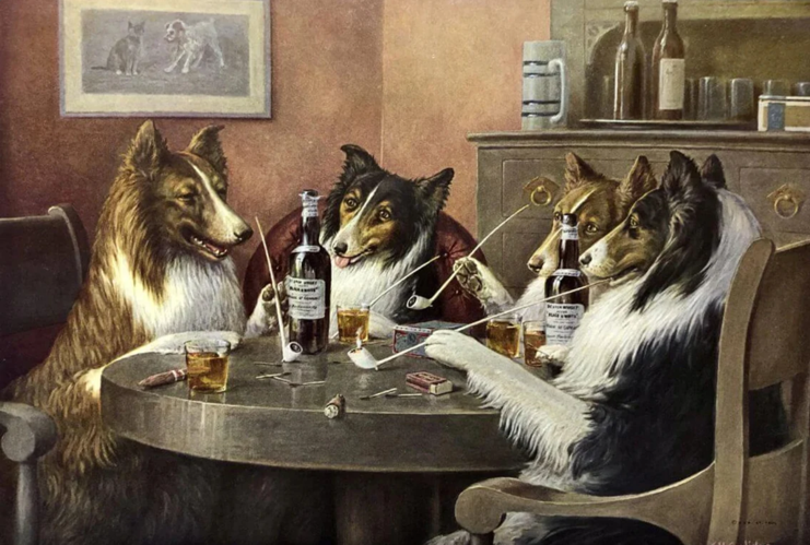 CM Coolidge Scottish collies